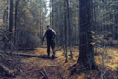 Купить диплом Егеря, лесника в Старом Осколе