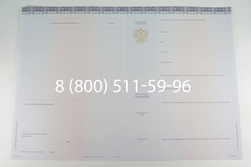 Диплом бакалавра (Киржач) 2014-2024 года в Старом Осколе