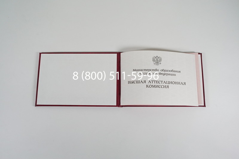 Диплом доктора наук 1995-2006 года в Старом Осколе