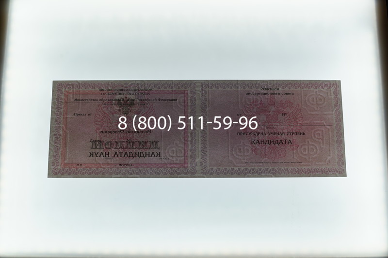 Заказать Диплом кандидата наук 2010 в Старом Осколе