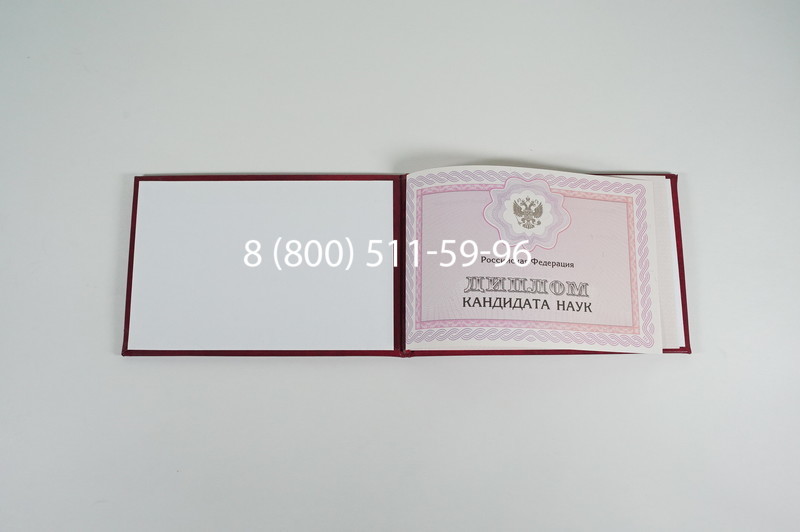 Заказать Диплом кандидата наук 2010 в Старом Осколе