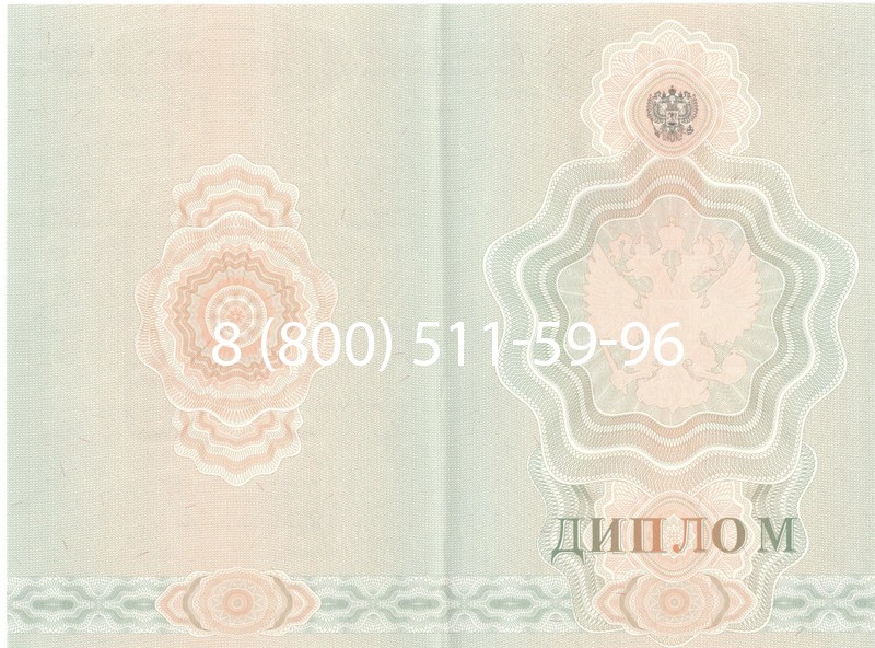 Купить Диплом училища 2007-2009 годов в Старом Осколе